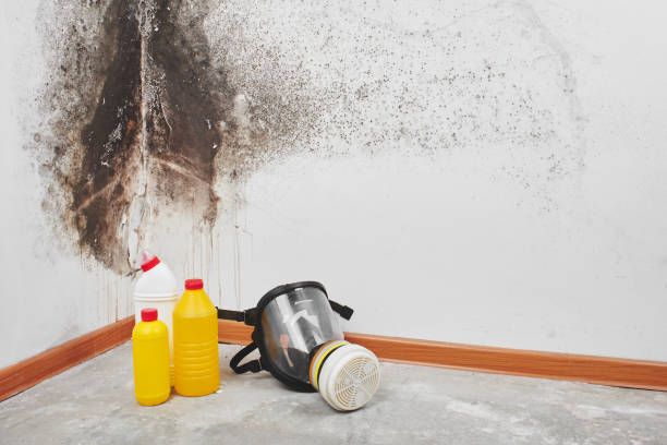 Best Crawl Space Mold Removal  in Lannon, WI