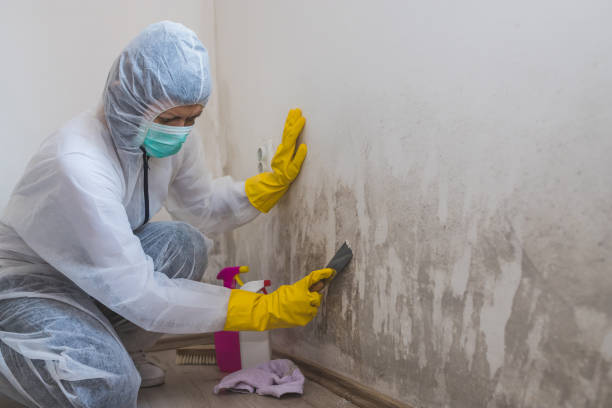 Best Emergency Mold Removal  in Lannon, WI