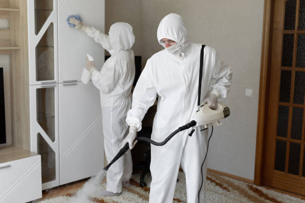 Certified Mold Removal in Lannon, WI