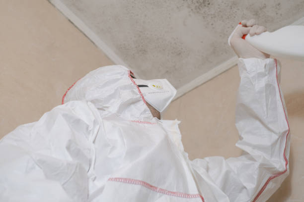 Best Mold Damage Repair  in Lannon, WI