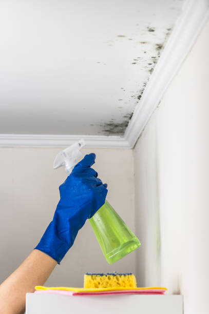 Best Mold Testing  in Lannon, WI